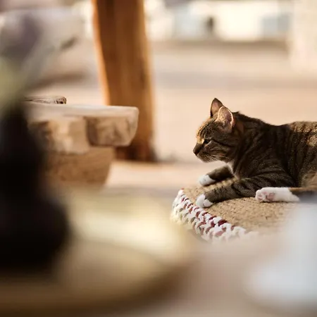 酒店 Gardelli 拉加纳斯